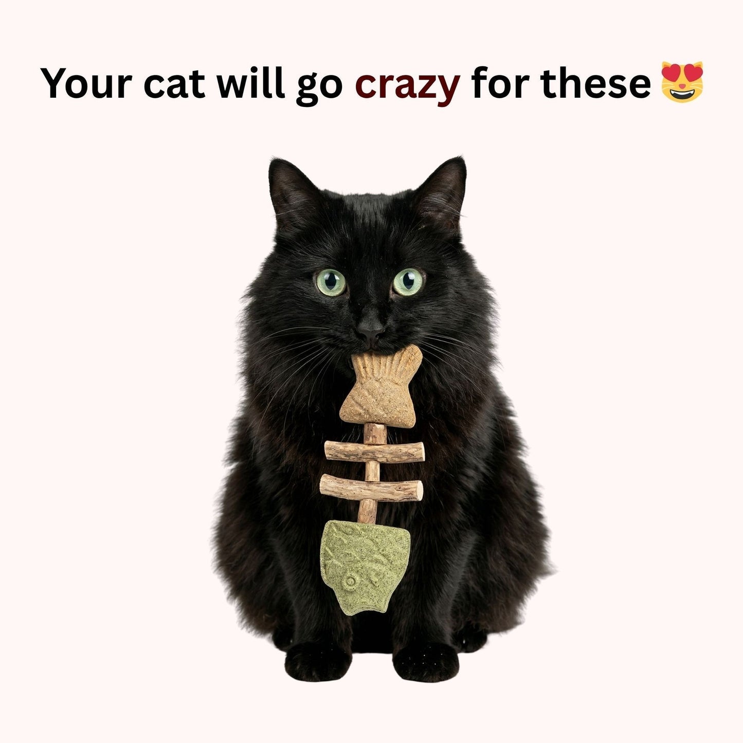 Let Your Cat Brush Their Own Teeth! š¦·š± (Buy 1 Get 1 FREE)