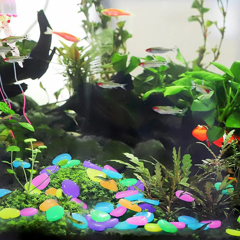Glow-in-the-Dark Pebbles ✨ Garden & Aquarium Decor